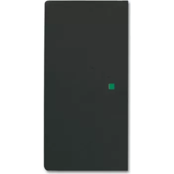 Busch-Jaeger 2CKA006220A0503 Cover Plate for Sensor Holder & -Socket Black (2CKA006220A0503)