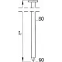 Coil nails BeA BDC 2.5x50 mm blank smooth, pack of 9000