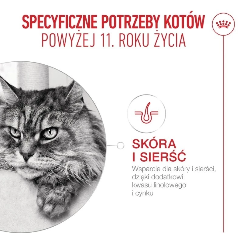 Dry cat food Royal Canin FHN Ageing 11+ 4 kg — complete diet for senior cats, poultry, 30% protein