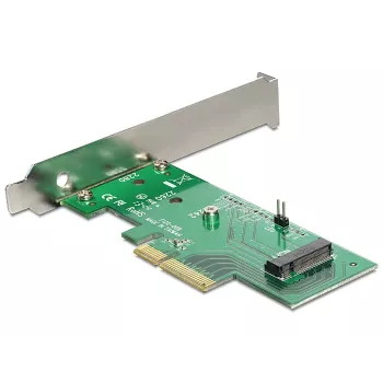 Internal M.2 Adapter DeLOCK 89370