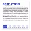 VET EXPERT Veterinary Diet Dermatosis Dog Salmon & Potato - dry dog food - 2 kg