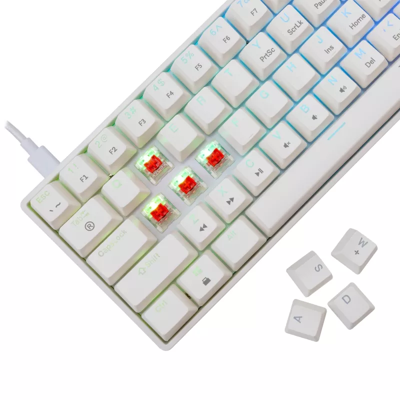 Wired mechanical keyboard White Shark Shinobi-2 (GK-004211) — US layout, Red switches, white