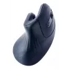 Gembird MUSW-ERGO-03 mouse Home Right-hand RF Wireless Optical 1600 DPI