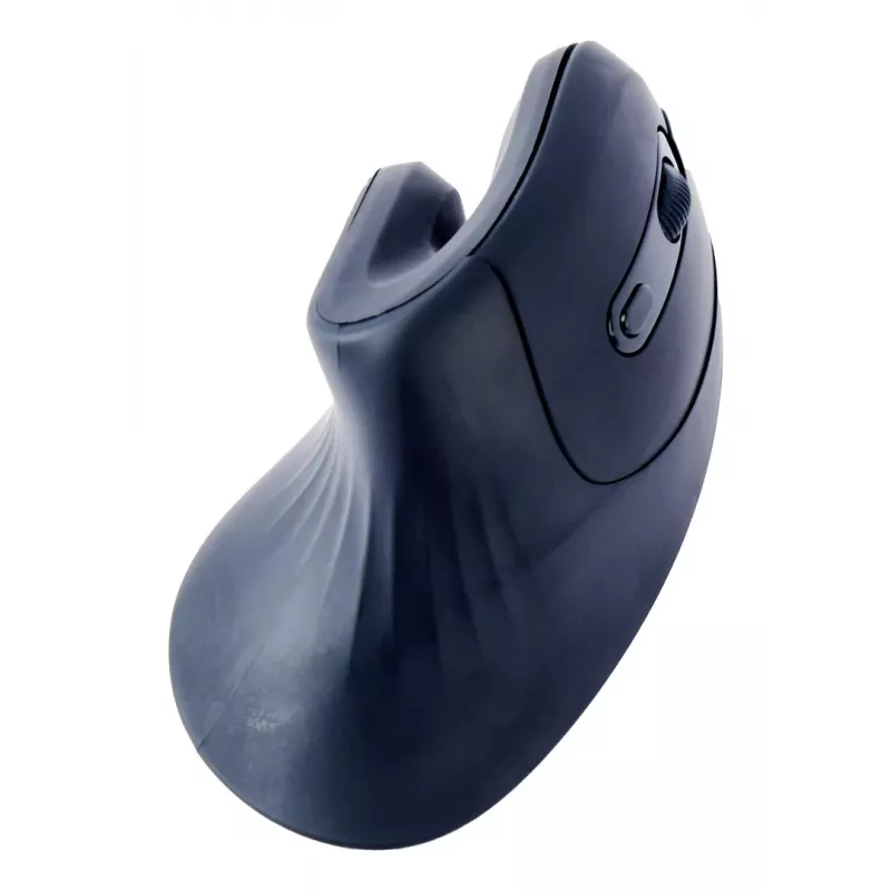 Gembird MUSW-ERGO-03 mouse Home Right-hand RF Wireless Optical 1600 DPI