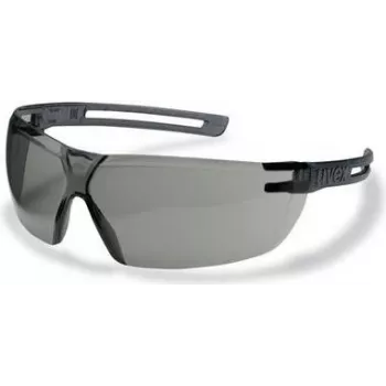 Safety glasses Uvex 9199280 Grey