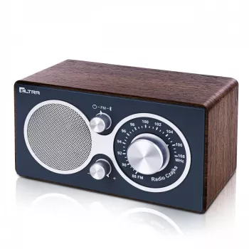 Radio Eltra CZAJKA Bluetooth model — portable radio with Bluetooth connectivity