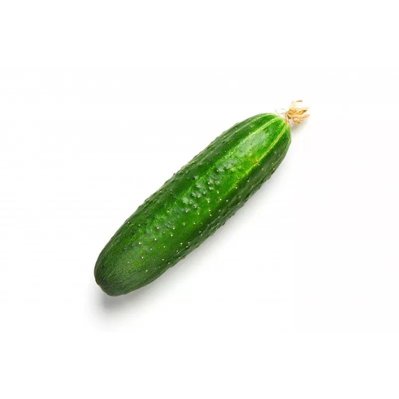 Cucumber Ares F1 Toraf Vegetable Seeds, 5g Pack