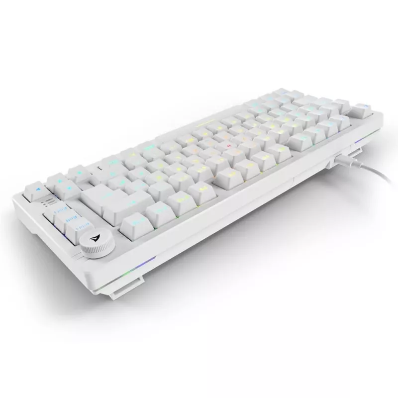 Keyboard Sharkoon SGK25 75% QWERTZ USB Wired RGB LED White