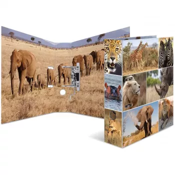Ring binder A4 HERMA 7168 Multicolour