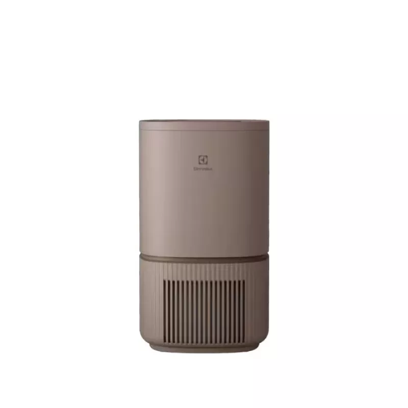 Air purifier Electrolux Pure 500 EPO50351BG — room air cleaner with HEPA filtration (model EPO50351BG)