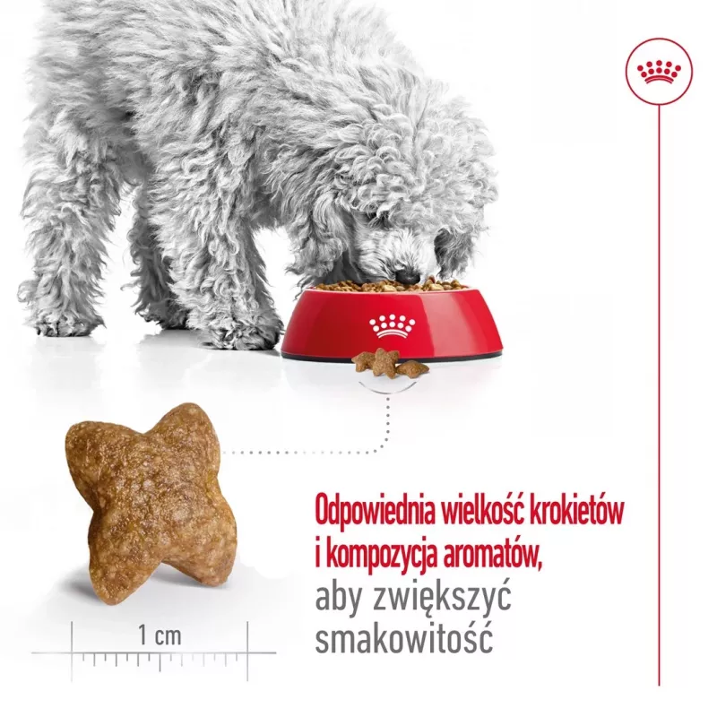 ROYAL CANIN Adult Mini S - dry dog food - 4kg
