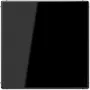 Jung LS 994 B SW (LS994BSW)
