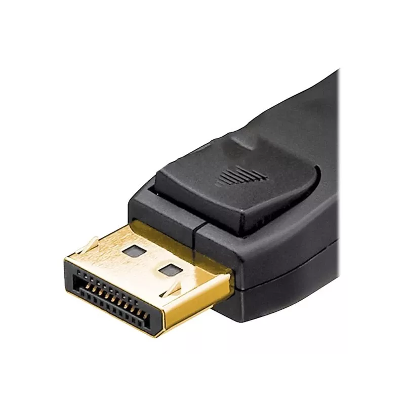 DisplayPort cable Wentronic 49960 3 m Black