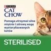 PURINA Cat Chow Sterilised Gig Chicken with Eggplant - moist cat food 85 g