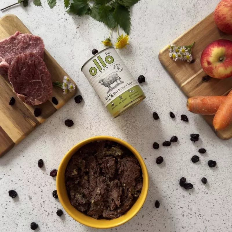 Wet dog food OLLO Pure Beef and Green Tripe 400 g can — adult, protein 14.5%, fat 11.9%, moisture 69%