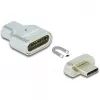 DeLOCK - Thunderbolt / USB-C adapter - USB-C (M) magnetic to USB-C (W) - USB 3,2 Gen 2 / Thunderbolt 3 4,5 A - 8K Support - Silver (66433)