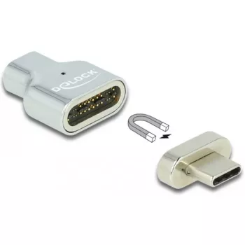 DeLOCK - Thunderbolt / USB-C adapter - USB-C (M) magnetic to USB-C (W) - USB 3,2 Gen 2 / Thunderbolt 3 4,5 A - 8K Support - Silver (66433)