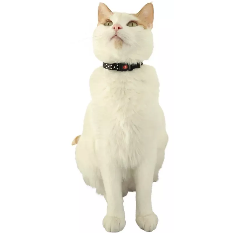 ZOLUX Chatouille blue - cat collar