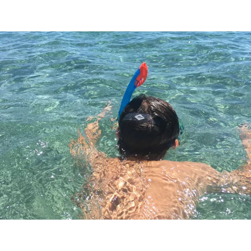Schildkröt Funsports Barbados