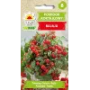 Bajaja Cherry Tomato Toraf Vegetable Seeds, 0.3g Pack