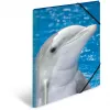 Folder Polypropylene (PP) HERMA 7146 A3 Blue Grey