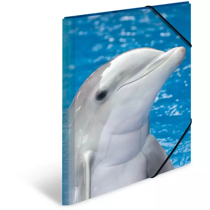 Folder Polypropylene (PP) HERMA 7146 A3 Blue Grey