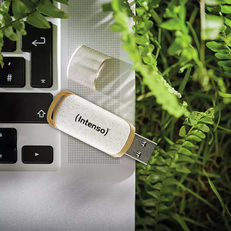 USB flash drive Intenso 32GB USB Type-A 3.2 Gen 1