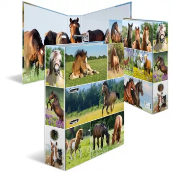 Ring Binder HERMA 19251 A4 Multicolour D-ring Storage 285x315mm