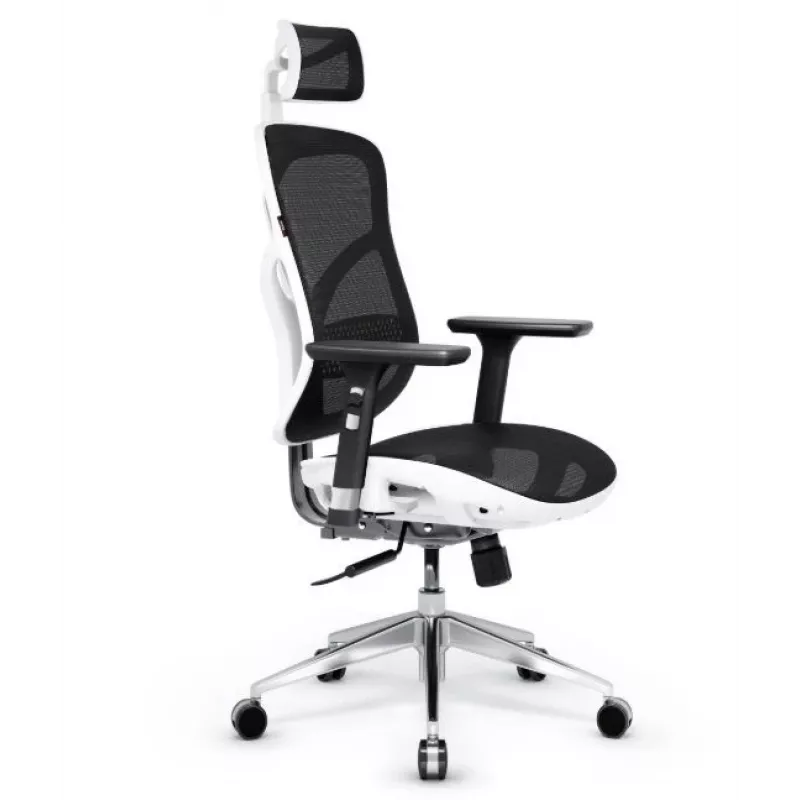 Diablo V-BASIC gaming chair white and black