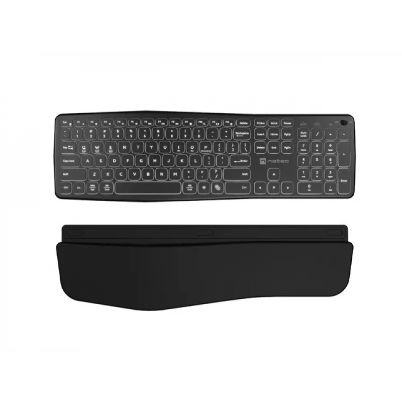 NATEC PORIFERA keyboard Home/Office Bluetooth QWERTY US International Black