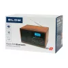 Portable Analog AM/FM Radio BLOW RA9 V.2 — AM and FM reception, battery-powered, analog tuning