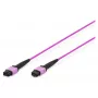 Fiber Optic Patchcord Digitus MPO Female OM4 10m
