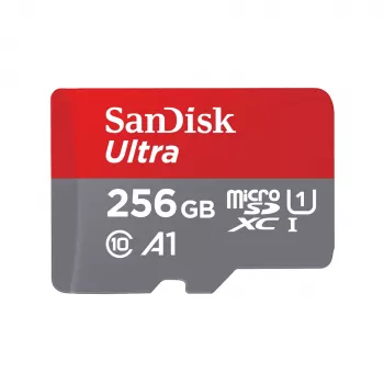 Flash memory SanDisk 256 GB MicroSDXC UHS-I SDSQUNR-256G-GN6TA