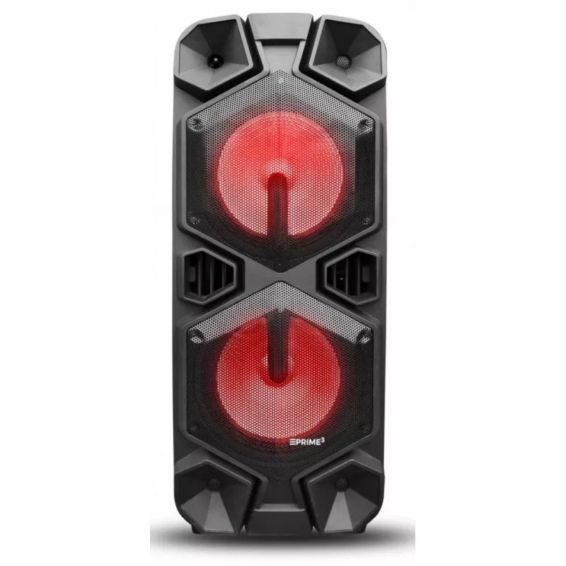 Portable Speaker APA24 Bluetooth Karaoke, Black