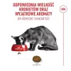 ROYAL CANIN Savour Exigent - dry cat food - 10kg