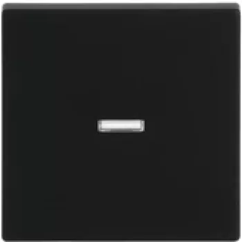 Busch-Jaeger rocker black matte 1789 N-885 (2CKA001751A3154)