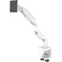 LC-Power LC-EQ-A49W Flat Screen-Desk Mount 124,5 cm (49) White desktop/bench (LC-EQ-A49W)