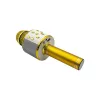 Microphone Denver KMS-20GMK2 Gold