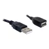 USB 2.0 Extension Cable DeLOCK 82457 0.15m Black