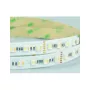 Synergy 21 LED Flex Strip 5050 - 84 RGB DC24V + RGB-WW (RGB-CCT) one chip HD IP20