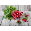 Opolanka Radish Toraf Vegetable Seeds, 10g Pack
