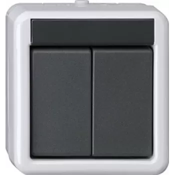 GIRA KNX push button BA 2-way Grey AP 2Punkt 516230 (516230)