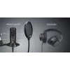Studio microphone Easypix 62021 Black
