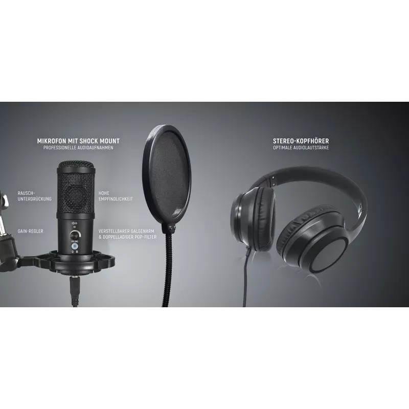 Studio microphone Easypix 62021 Black