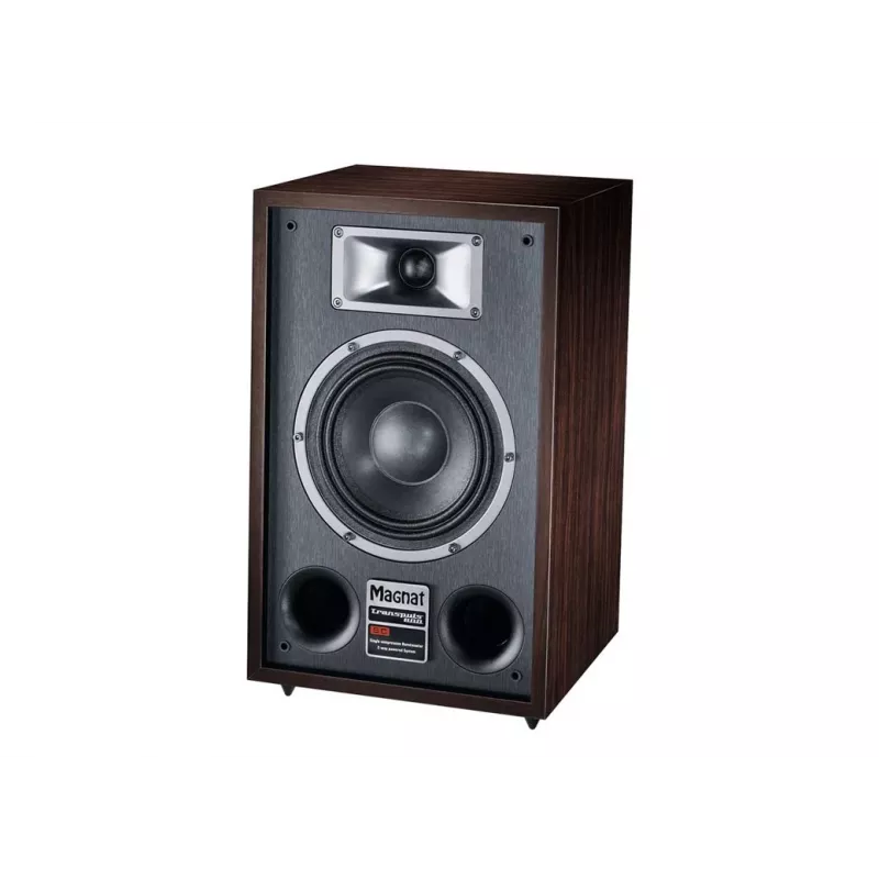 Floorstanding speaker Magnat TRANSPULS 800A 2-way wired & wireless 2×60 W, Bluetooth 5.0, HDMI, Black/Brown