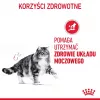 Wet cat food Royal Canin Urinary Care adult poultry 85 g sachet (12-pack)