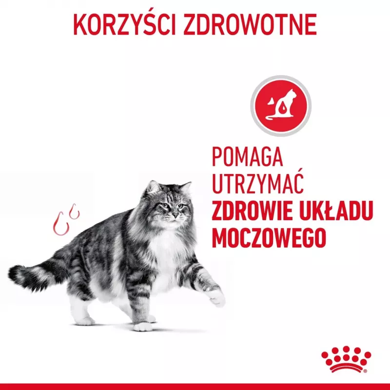 Wet cat food Royal Canin Urinary Care adult poultry 85 g sachet (12-pack)