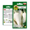 Seeds – Parsnip (Pietruszka Korzeniowa Alba) 3 g pack by Seklos LT