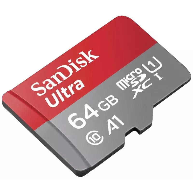 Flash memory card SANDISK SDSQUAB-064G-GN6TA 64GB