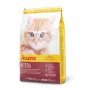 Josera Minette Kitten 10 kg
